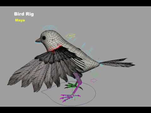 Bird4Final_divx_new.avi