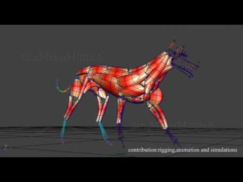 rigging demo reel tiru