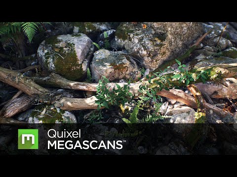 Megascans Mountain Slope Flythrough