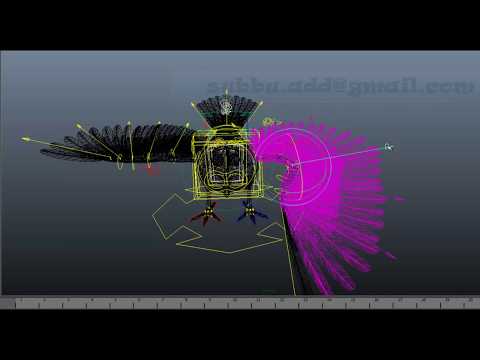 Python Scripting : Auto Bird Rigging In Maya -By Subbu Addanki.mov