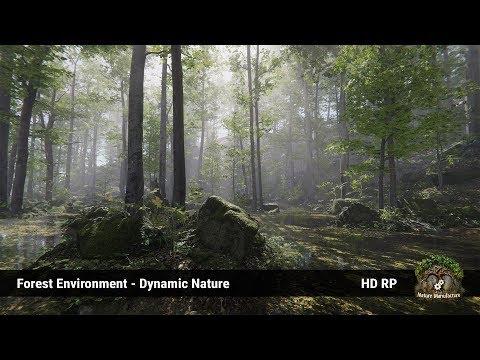 Forest Environment - Dynamic Nature