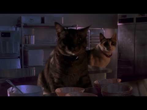 Jurassic Park Cat Raptor - อย่าปล่อยให้แมวหิว!