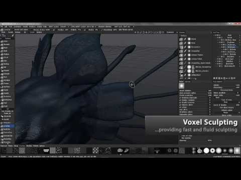 3D Coat V4 Feature Video