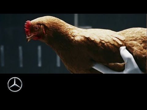 Mercedes-Benz “Chicken” MAGIC BODY CONTROL TV commercial