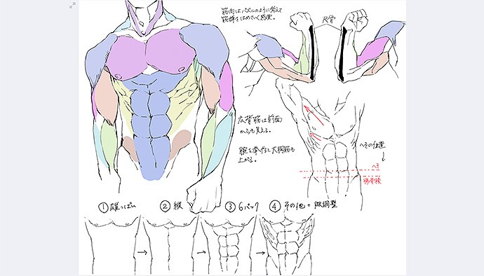 Pixivまとめ 筋肉の描き方 計28作品ピックアップ Cgトラッキング