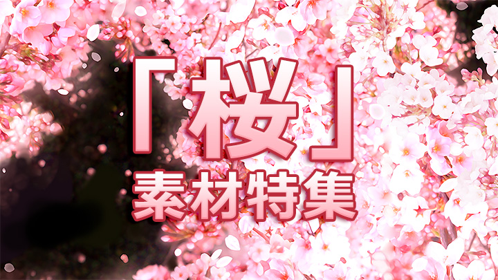 とっても綺麗。Pixivに投稿されたフリーの『桜』素材特集25選！PNG形式 