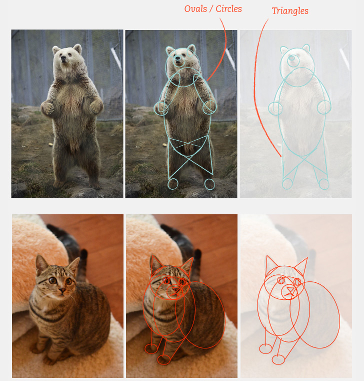 動物の写真から かわいいデフォルメキャラクターイラストを描くための簡単なコツ Cgトラッキング