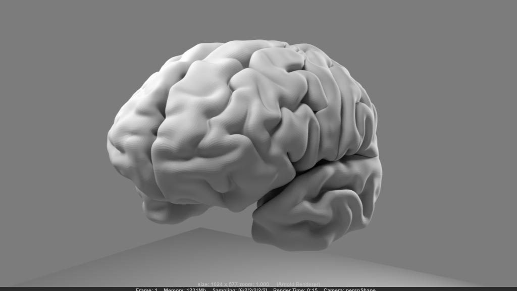 最高の脳 3d モデル フリー 全イラスト集
