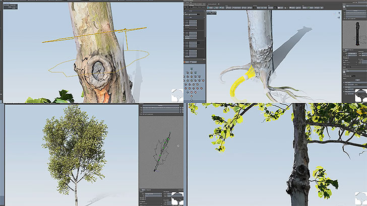 SpeedTree 8.2 u2013 よりリアルな植物へ。フォトスキャンで作成した植物の 